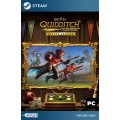 Harry Potter: Quidditch Champions - Deluxe Edition Steam [Singleplayer Only]